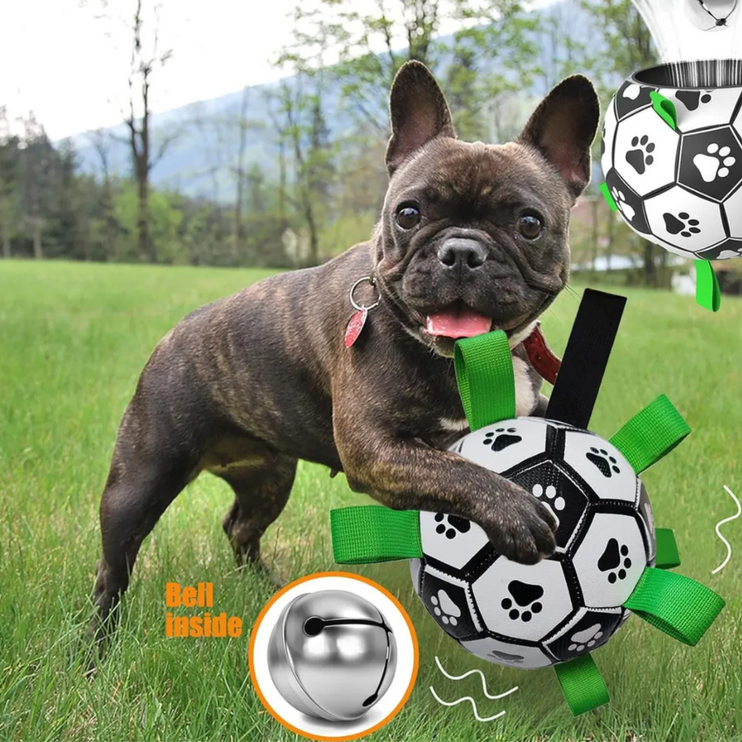Pelota Interactiva de Agarre para Perros — 15 cm de Diámetro