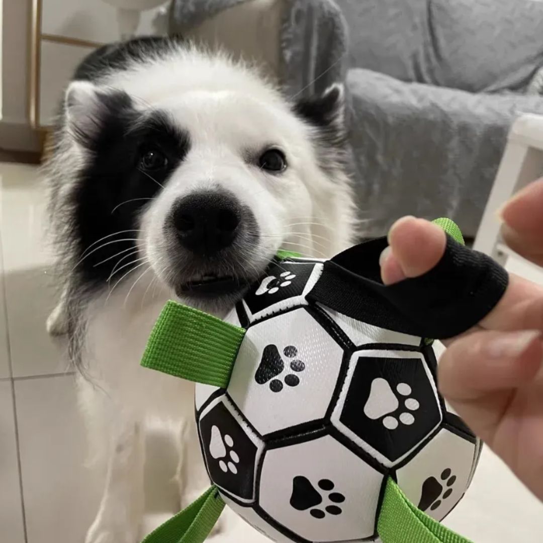 Pelota Interactiva de Agarre para Perros — 15 cm de Diámetro
