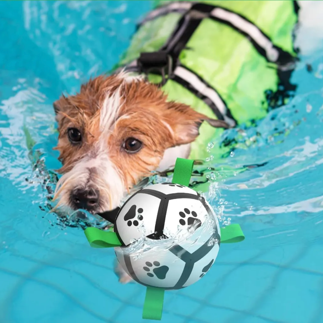 Pelota Interactiva de Agarre para Perros — 15 cm de Diámetro