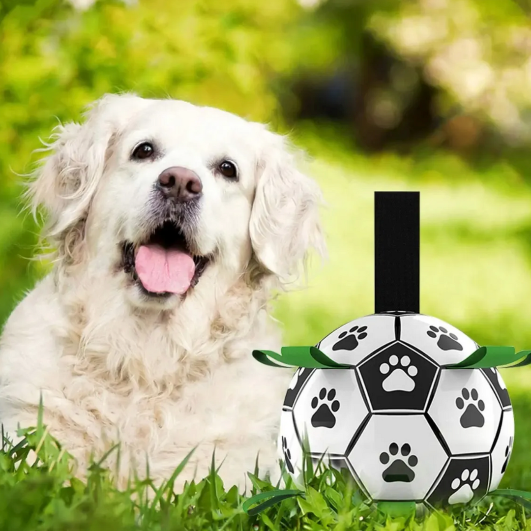 Pelota Interactiva de Agarre para Perros — 15 cm de Diámetro